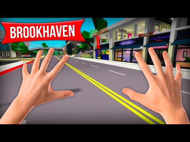 Brookhaven in Real Life! 