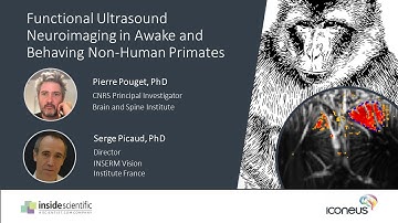 Functional Ultrasound Neuroimaging in Awake & Behaving Non-Human Primates