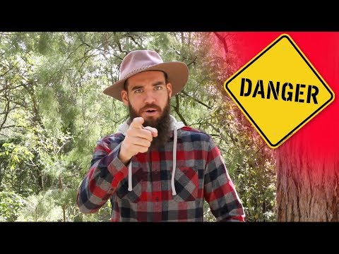 How Not To DIE in Australia