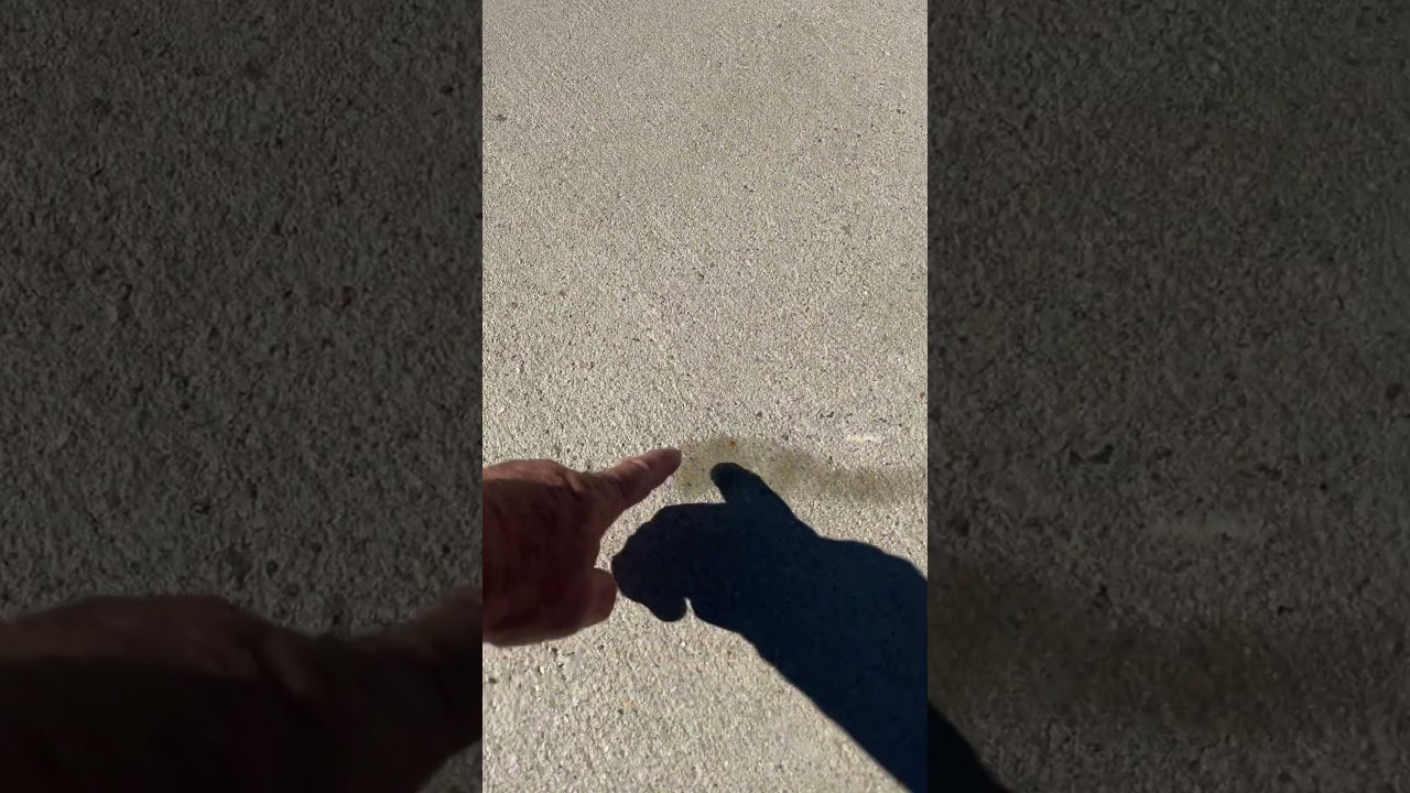 Why concrete sealing is important.