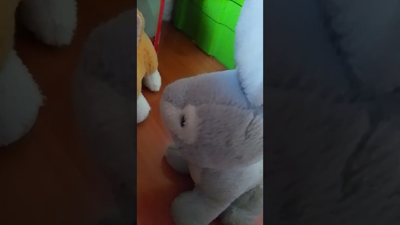 Capítulo 4 🥳🥳🥳 el vagabundo (dura el doble de lo normal)😽🐶🐰🐢🦔