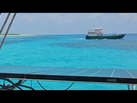 MALDIVES IS LIKE A GIANT AQUARIUM DAY 1 LIVE STREAM