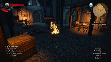 The Witcher 3 - Dwarf T Pose Glitch