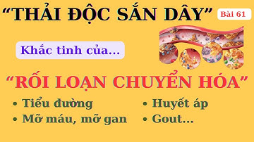 Thực hư “THẢI ĐỘC SẮN DÂY” là khắc tinh của RỐI LOẠN CHUYỂN HOÁ (tiểu đường, gout, mỡ máu, huyết áp)