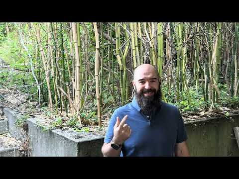 How to Put Together a DIY Auto Repair Tool Kit Ep. 1 – PPE
