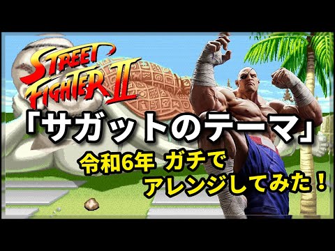 ストリートファイター　サガット　スタチュー ストリートファイター/ ミックス・メディア 1/4 スタチュー