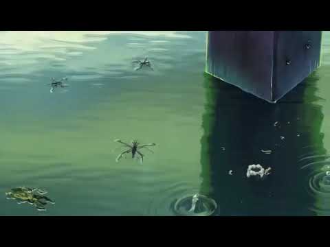𝒪𝓃𝒹𝑒 𝒜𝓃𝒹𝒶 𝒱𝑜𝒸𝑒