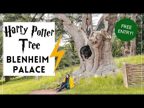 Vidéo: Peut-on visiter le palais de Blenheim gratuitement ?