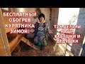 Бесплатный обогрев курятника// Самое дешёвое отопление для зимы для кур