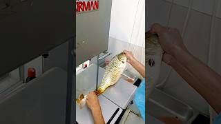Amazing Giant Live Carp Fish Cutting Skills Youtube Shorts