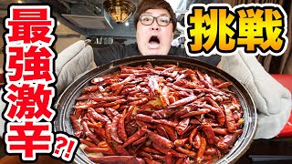 【超激辛チャレンジ!!!】辛いの苦手な140kgデブが地獄の鬼辛麻婆豆腐と唐辛子まみれの赤富士鍋に挑戦したら奇跡が起きた、、、！！！