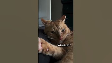 Kittyo like wait turn up they prvnci yeaaa the vibes real