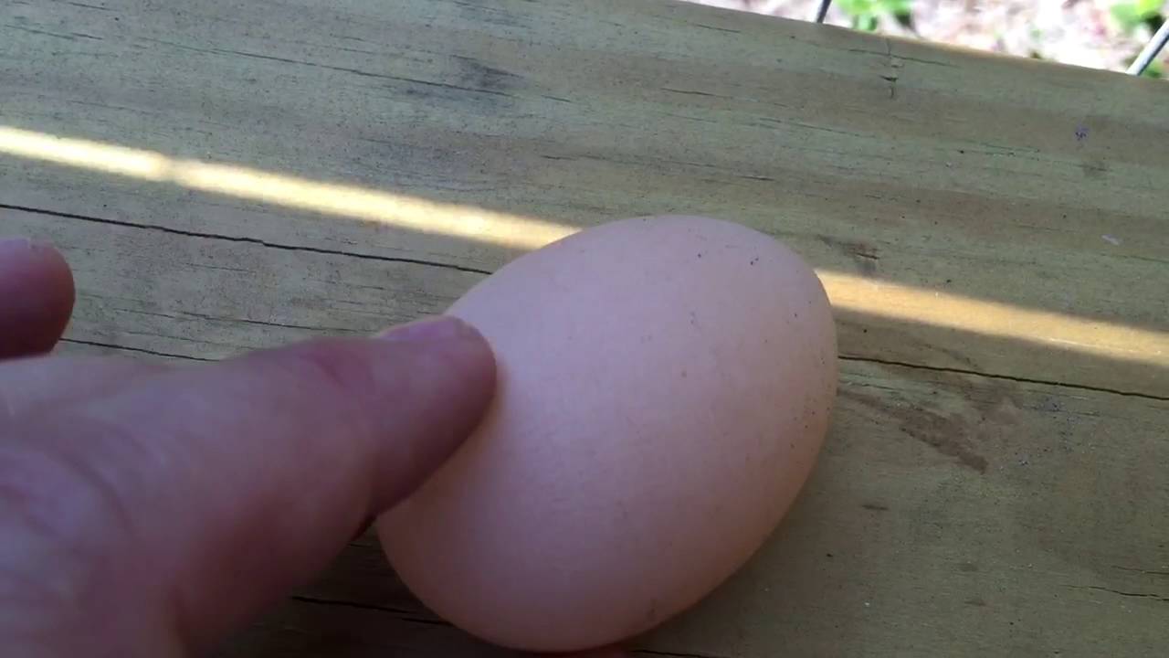 A Shell-LESS EGG! Whoa!