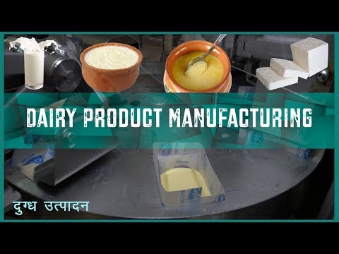 Dairy Product Manufacturing | डेयरी उत्पाद निर्माण | IID |