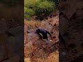 Pahadi Vibes 🏔️ | Short Travel Video with Fitness Motivation 💪 | Mountain Energy | Pramod kbdfit