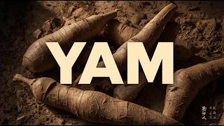 Yam Explained: The Ancient Tuber That Fed Civilizations Before History Was Written