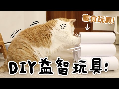 【黃阿瑪的後宮生活】DIY益智玩具！4種貓咪藏食玩具！