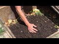 Feeding worms in an in-ground worm bin