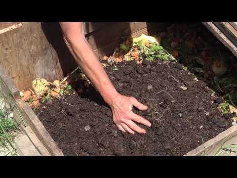 Feeding worms in an in-ground worm bin
