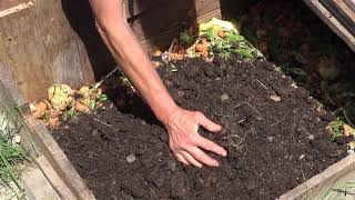 Feeding worms in an inground worm bin