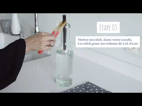 Charbon végétal actif