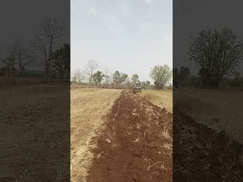 మా పొలం దున్నుతున్న