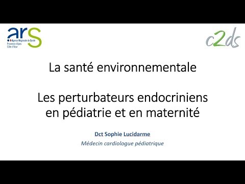 Les perturbateurs endocriniens