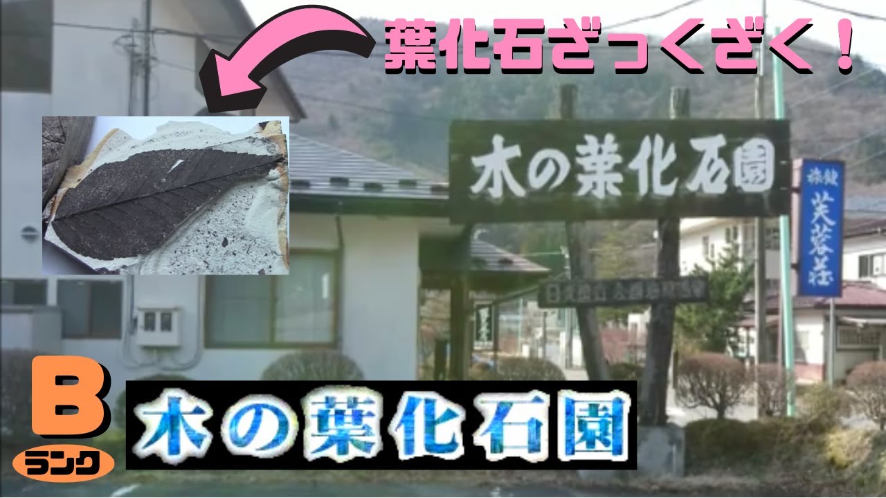 【古生物スポット】木の葉化石園(Konoha Fossils Museum)