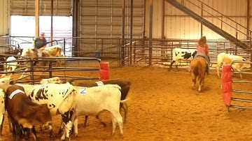 MH Will Jazz Em - sorting practice - run #1 - Valley View Ranch