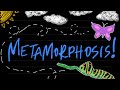 METAMORPHOSIS | Romans 12:1-2