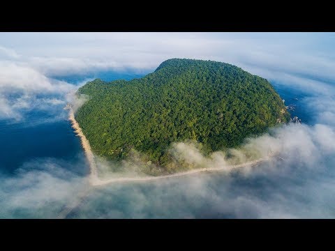 Video: Veľkonočný Ostrov: Sochy, Legendy, Fakty - Alternatívny Pohľad