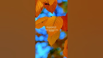 قرآن كريم تلاوة هادئة ارح سمعك #قرآن #أحسن_تلاوت_القرأن_الكريم #اكسبلور #quran #اسلاميات #المصحف