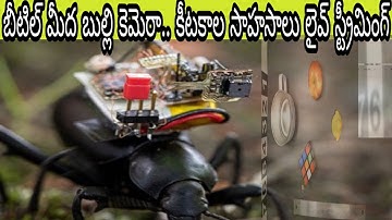 Camera Backpack for Insects or Insect Sized-Robots | BeetleInsect Wireless Robotic Camera in Telugu.