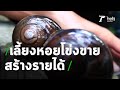 เลี้ยงหอยโข่งขาย สร้างรายได้ | 05-02-64 | ตะลอนข่าว