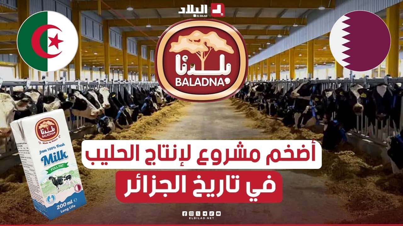 أضخم مشروع لإنتاج الحليب في تاريخ الجزائر بقيمة 3.5 مليار دولار بالإتفاق مع شركة بلدنا القطرية