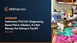 Veterinary POCUS: Diagnosing Renal Pelvic Dilation, It’s Not Always the Kidney’s Fault!!!