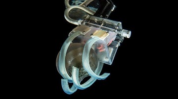 Ultra-soft underwater gripper safely catches and releases jellyfish without damage