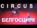 Белорусский государственный цирк в Минске. Circus Belarus