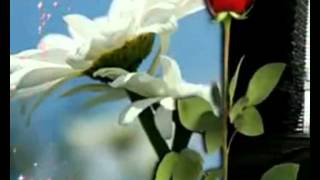 Still Wish The Very Best