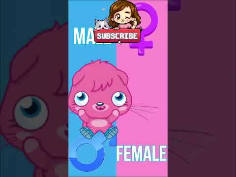 Doki GenderSwap Edit