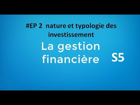 Vidéo: Classification des investissements comme moyen de les contrôler