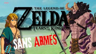 Zelda TOTK sans ARME !!!