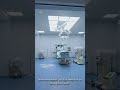 Why Branding is Important for Eye Clinics | Creative Branding Studio