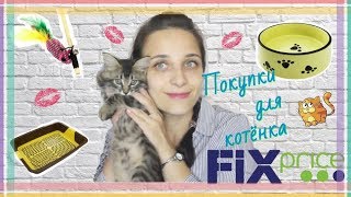 ПОКУПКИ для КОТЕНКА в FIX PRICE / ФИКС ПРАЙС ПОКУПКИ для КОТЕНКА в FIX PRICE / ФИКС ПРАЙС