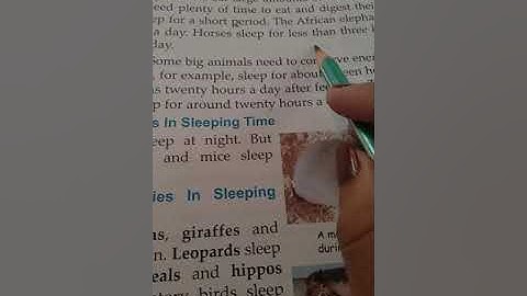 class V EVS chapter no-8 searching for food