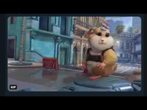 hammond-meme-hilghight-intro-(dramatic-hamster)-|-overwatch-(archives-event-2019)---squishymain