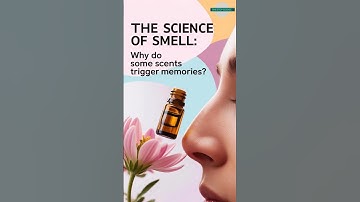 Unlocking the Mystery: How Smells Bring Back Powerful Memories | #OneStopScience
