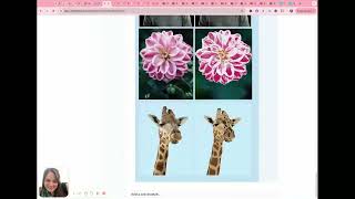 how to navigate computer graphics i on d2l 720p Profile