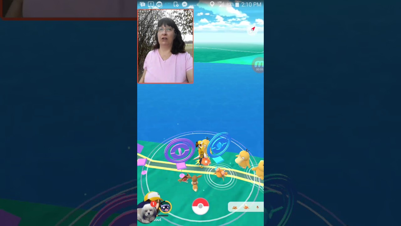 cockatoo price ph Pokemon Go Shenanigans at the Riverwalk in Chattanooga