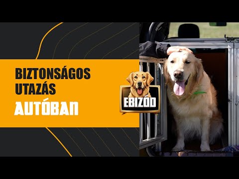 Videó: Biztonságos Bermudára utazni?